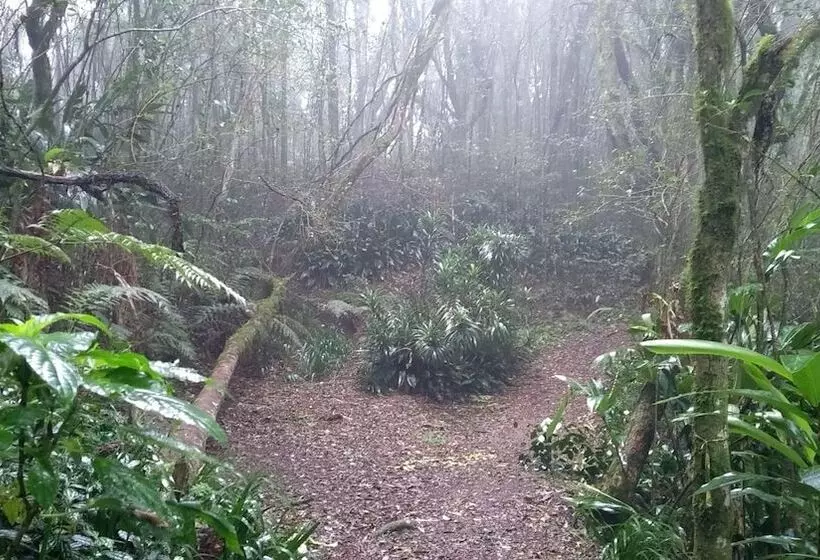 Hotelli Bela Vista Parque