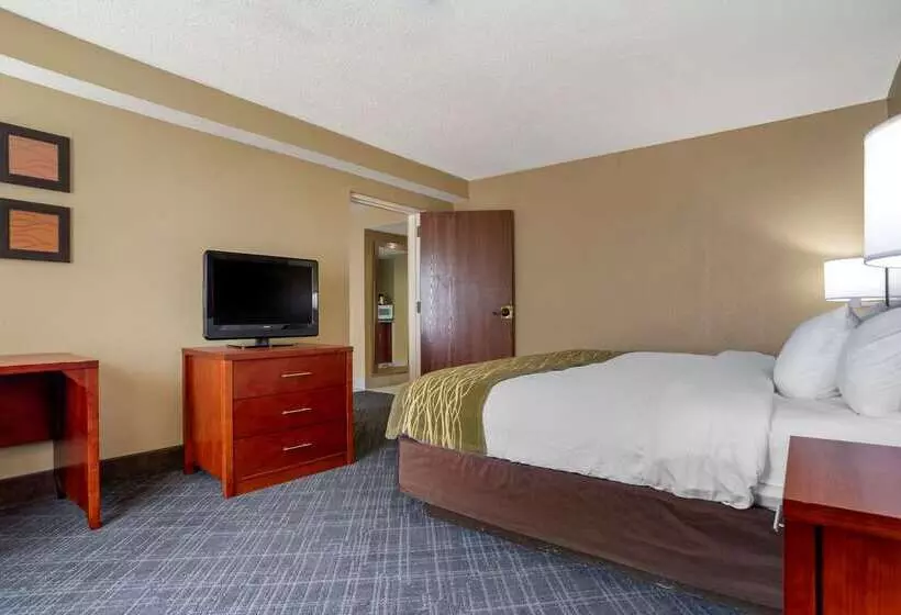 هتل Comfort Inn University Area