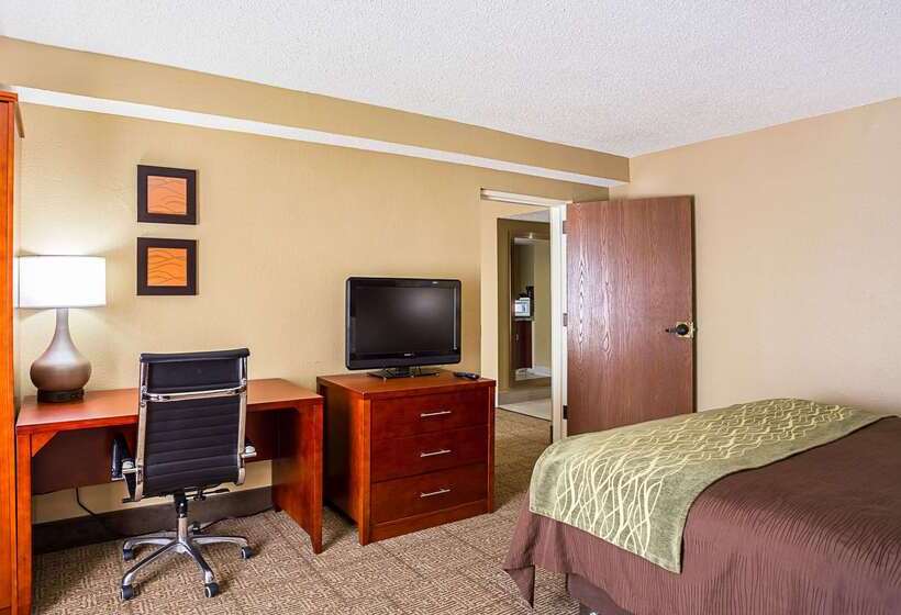 Szálloda Comfort Inn University Area