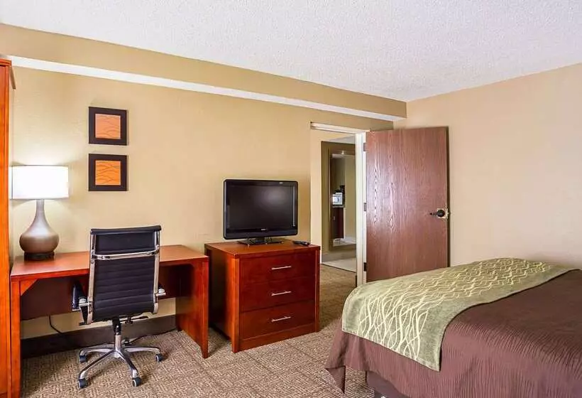 هتل Comfort Inn University Area