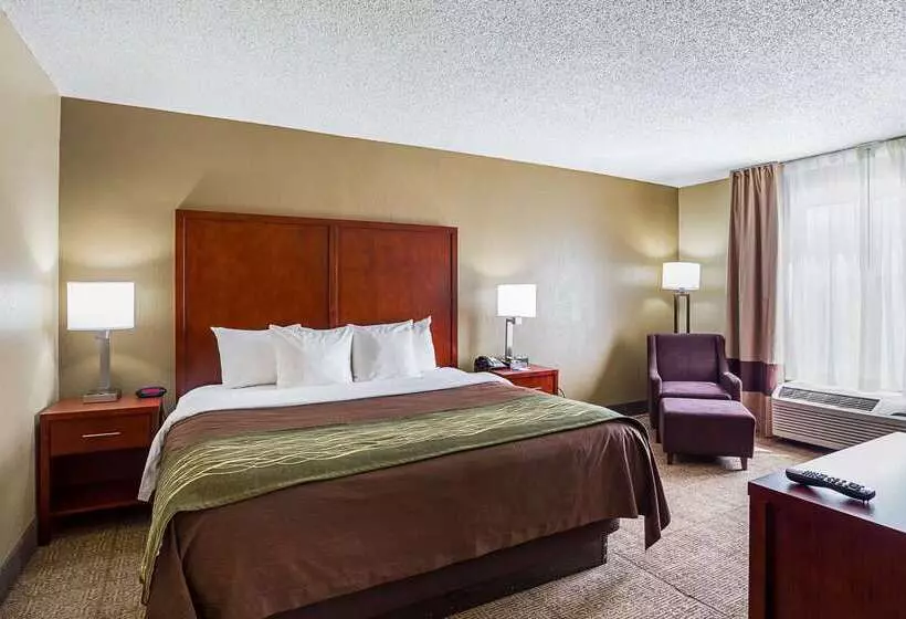 هتل Comfort Inn University Area