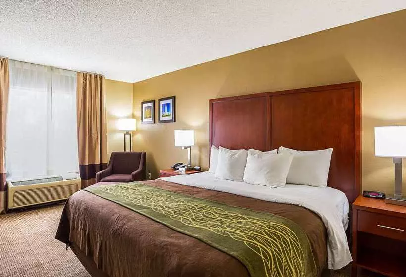 هتل Comfort Inn University Area