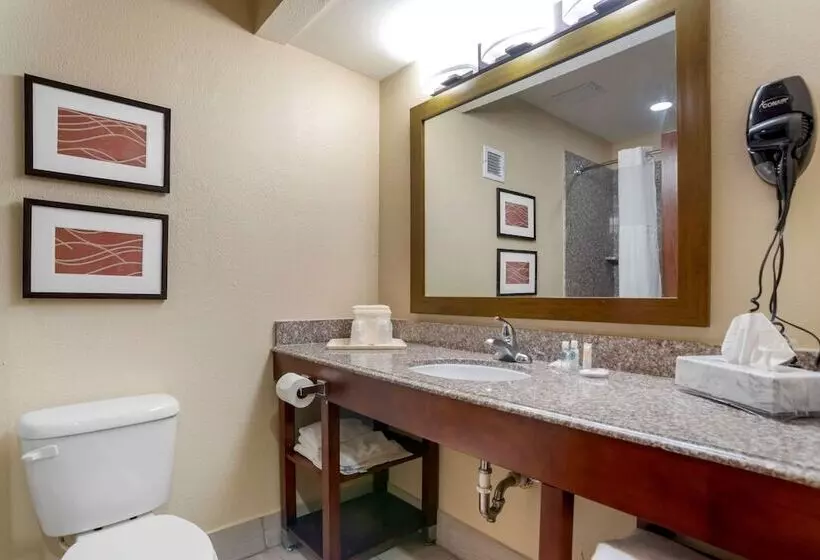 هتل Comfort Inn University Area