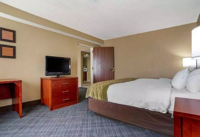 هتل Comfort Inn University Area