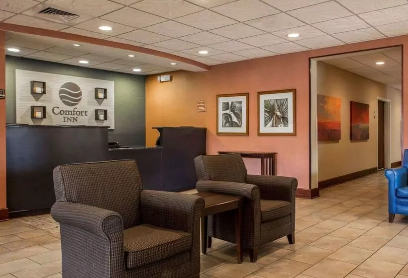 호텔 Comfort Inn & Suites Lumberton Central I 95