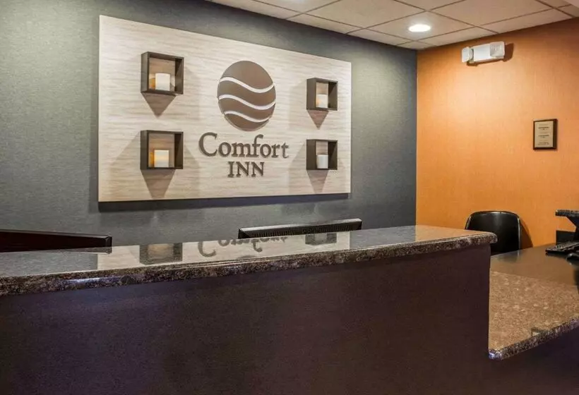 호텔 Comfort Inn & Suites Lumberton Central I 95