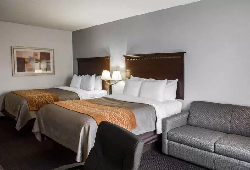 호텔 Comfort Inn & Suites Lumberton Central I 95