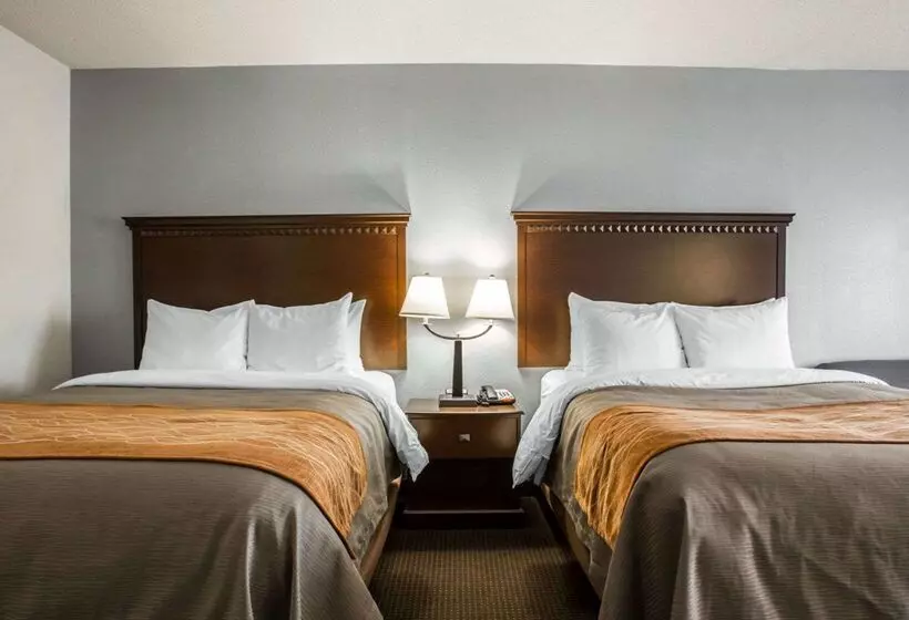 호텔 Comfort Inn & Suites Lumberton Central I 95