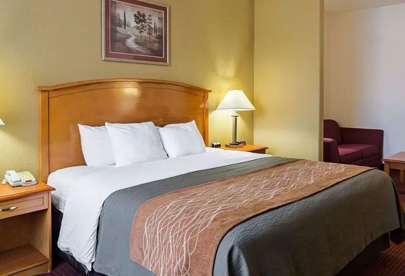 هتل Comfort Inn & Suites Chesapeake Portsmouth