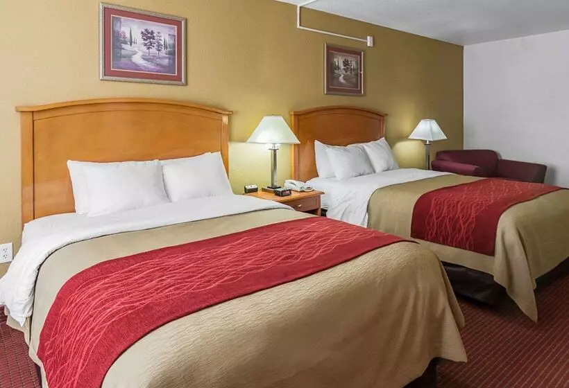 هتل Comfort Inn & Suites Chesapeake Portsmouth
