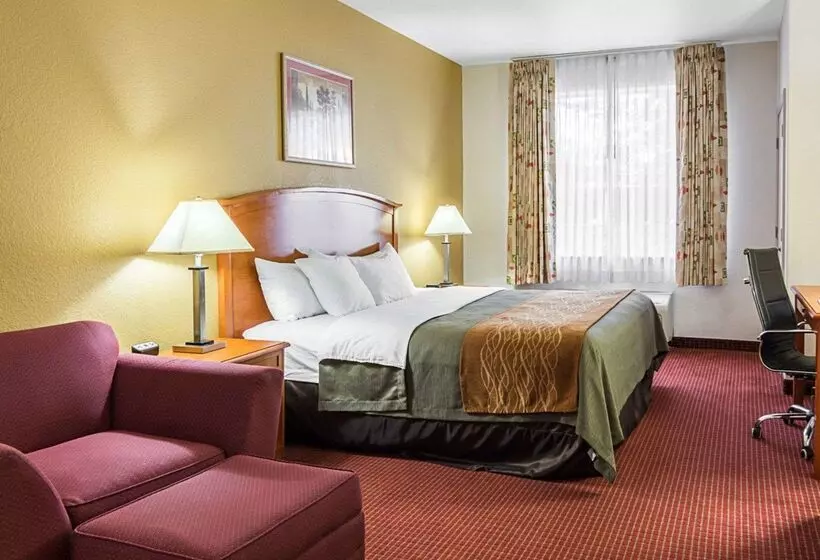 هتل Comfort Inn & Suites Chesapeake Portsmouth