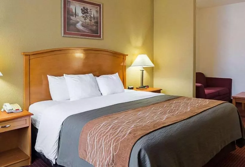 هتل Comfort Inn & Suites Chesapeake Portsmouth