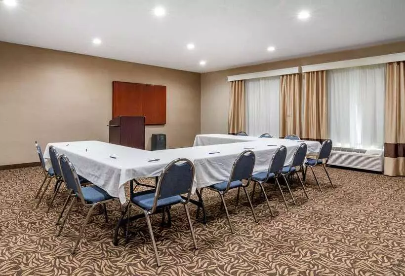 酒店 Comfort Inn & Suites Oxford South