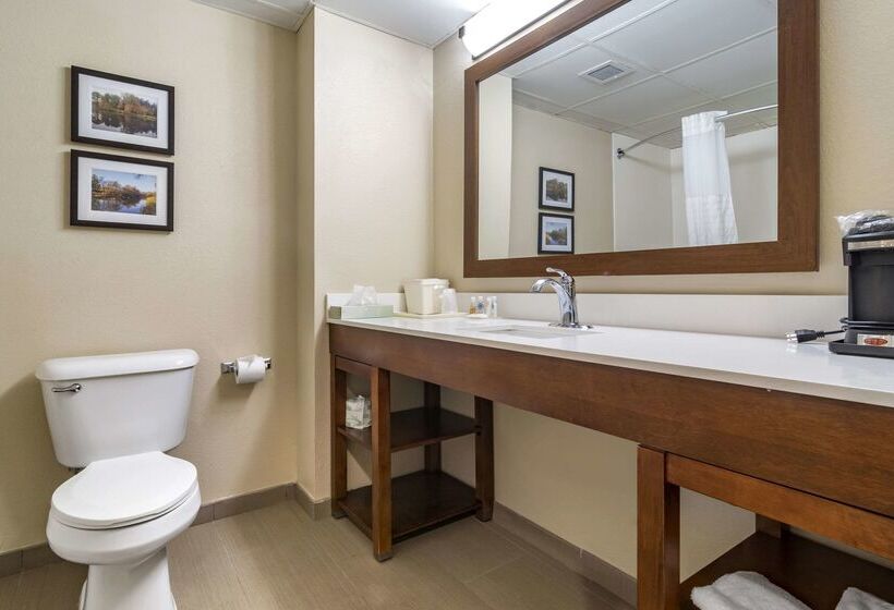 Отель Comfort Inn & Suites Oxford South