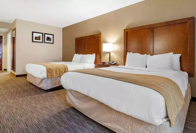 酒店 Comfort Inn & Suites Oxford South