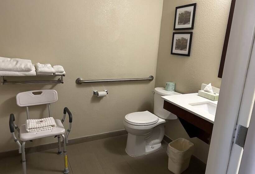 Отель Comfort Inn & Suites Oxford South