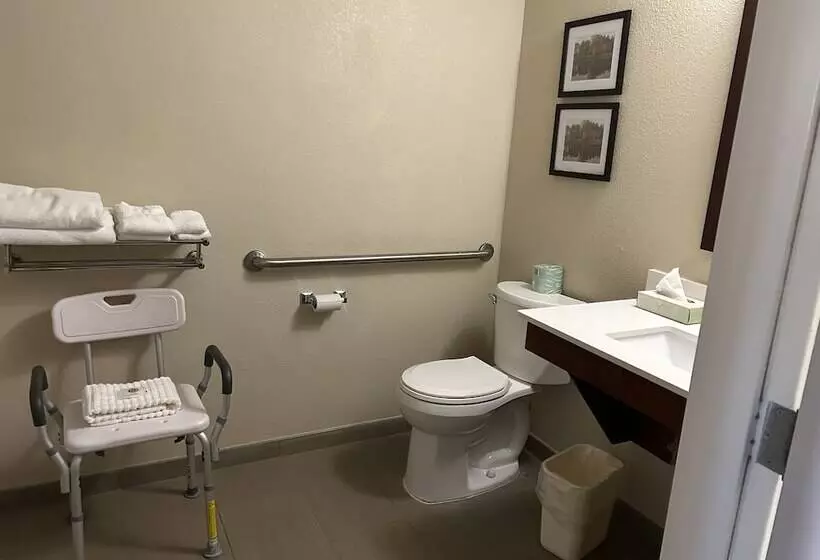 酒店 Comfort Inn & Suites Oxford South