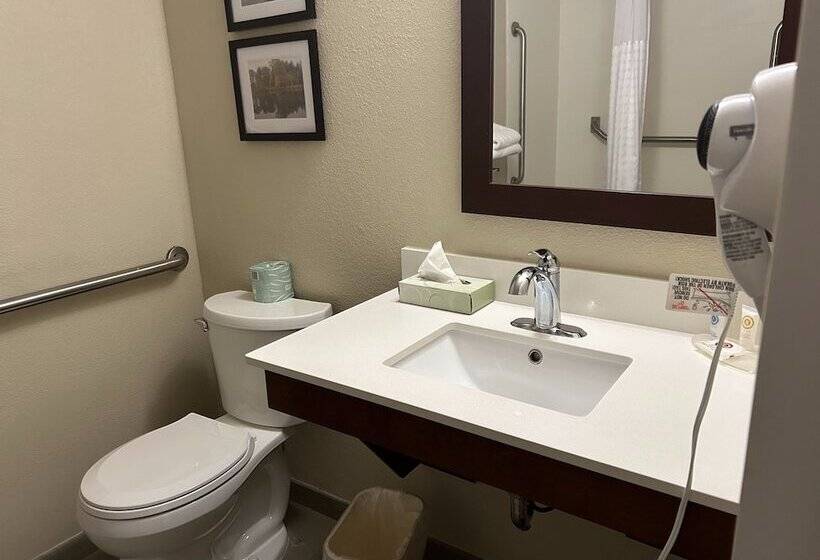 Отель Comfort Inn & Suites Oxford South