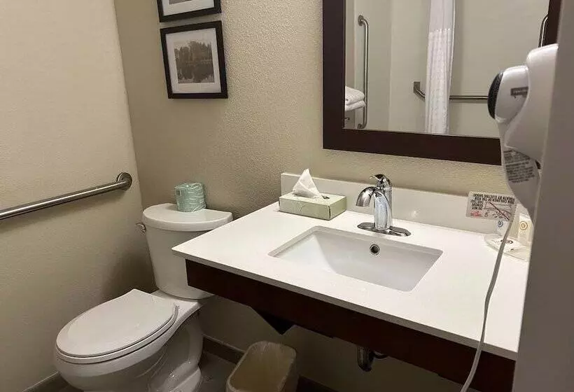 酒店 Comfort Inn & Suites Oxford South