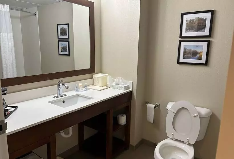 酒店 Comfort Inn & Suites Oxford South