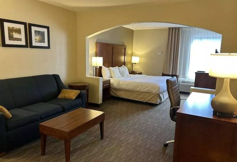 酒店 Comfort Inn & Suites Oxford South