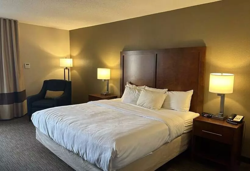 酒店 Comfort Inn & Suites Oxford South