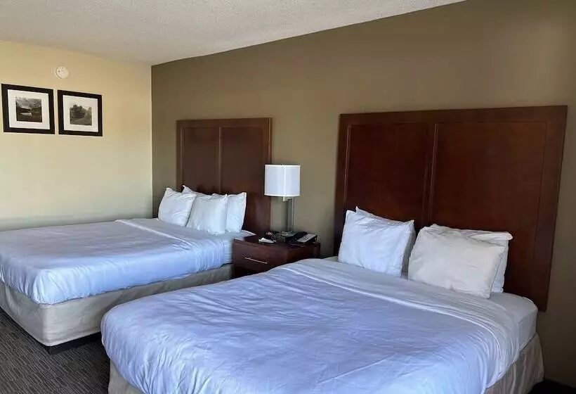 酒店 Comfort Inn & Suites Oxford South