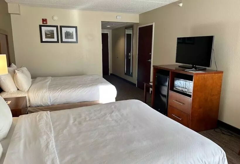 酒店 Comfort Inn & Suites Oxford South