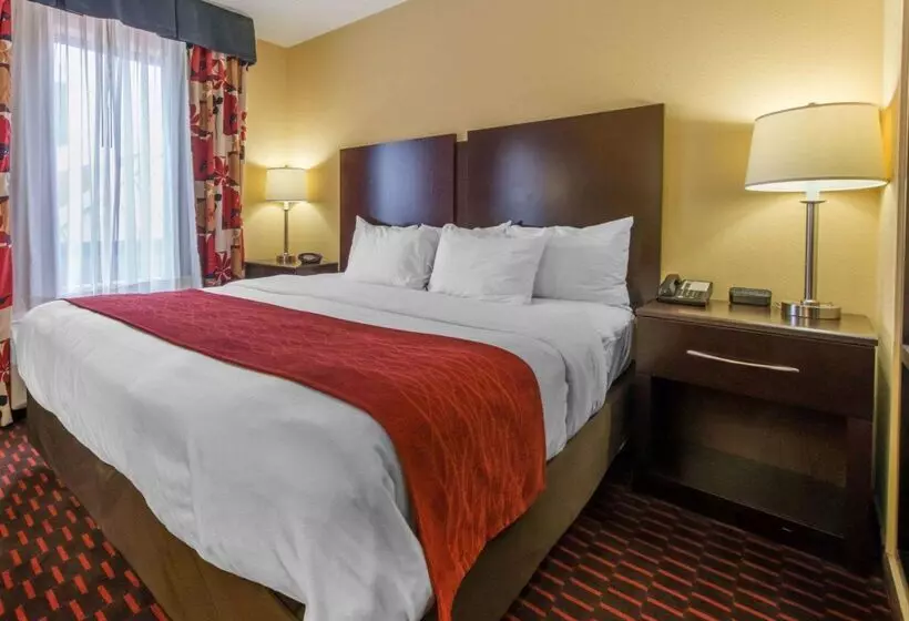 酒店 Comfort Suites Altoona