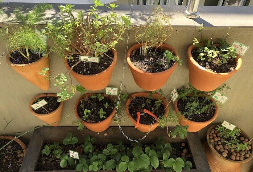 Eko Residence Hotel   A 200m Do Auditório Araujo Vianna E Dos Hospitais Da Santa Casa