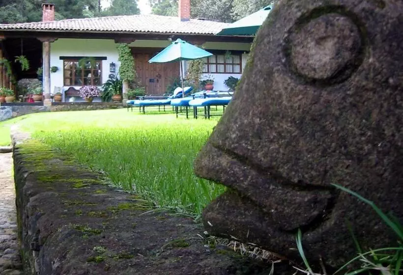 בית מלון כפרי Hacienda Mariposas