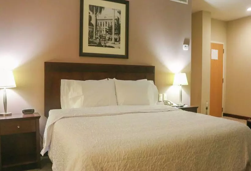 בית מלון כפרי Hampton Inn By Hilton Tampico Zona Dorada