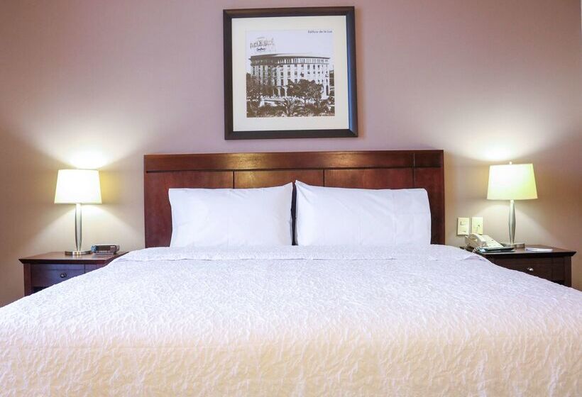 Hotel Hampton Inn By Hilton Tampico Zona Dorada