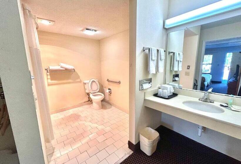 酒店 High Springs Inn