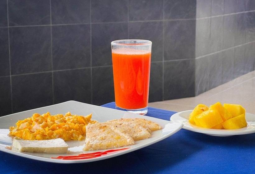 هتل Luxor Plaza Pereira