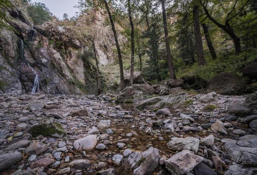 Hotel Misión Cerocahui A Balderrama Collection