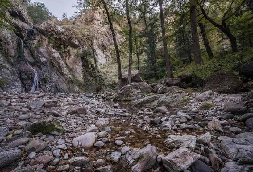 ホテル Misión Cerocahui A Balderrama Collection