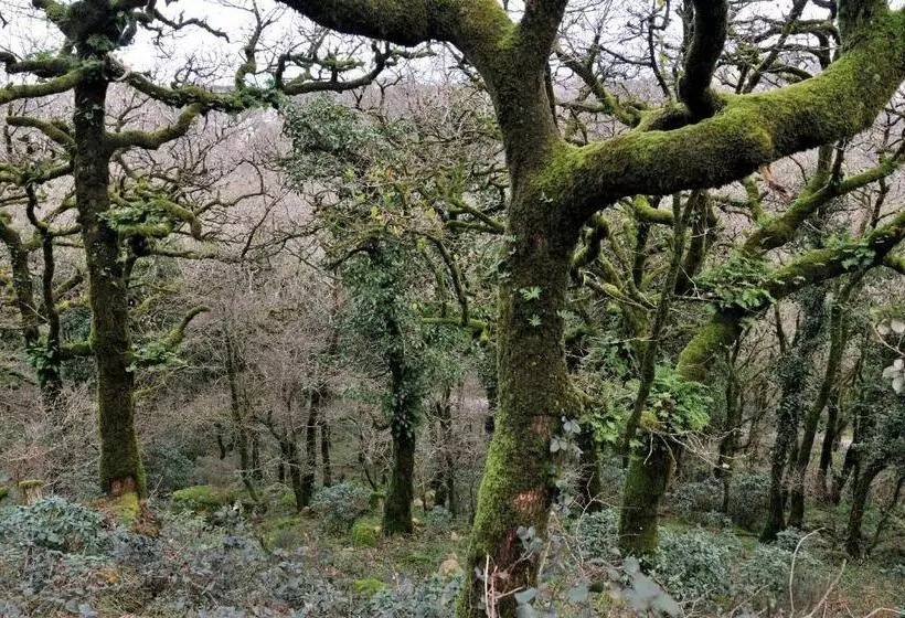 Hostal Tarifa  Recepcion Abierta Las 24h