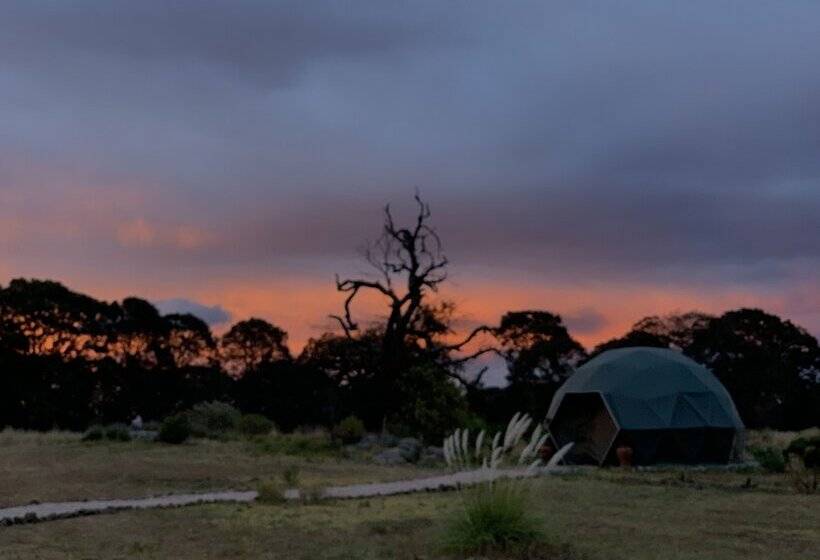 호텔 Casa Maria Campiña