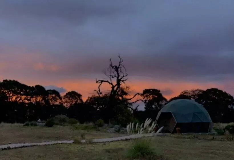 ホテル Casa Maria Campiña