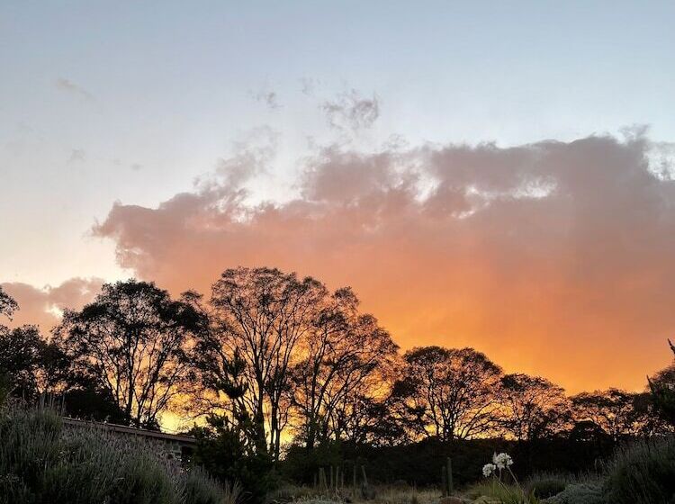 فندق Casa Maria Campiña