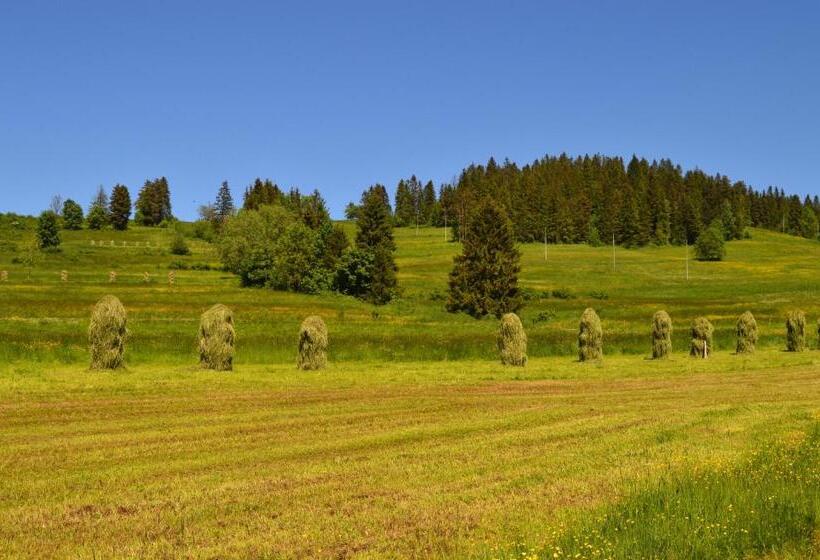 ホテル Montenero Resort & Spa