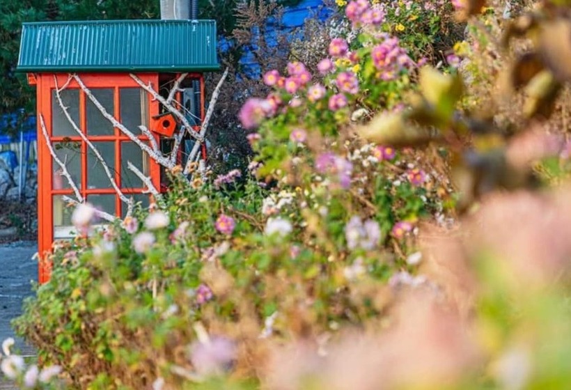 Hotel Yangyang Silver Sea Pension