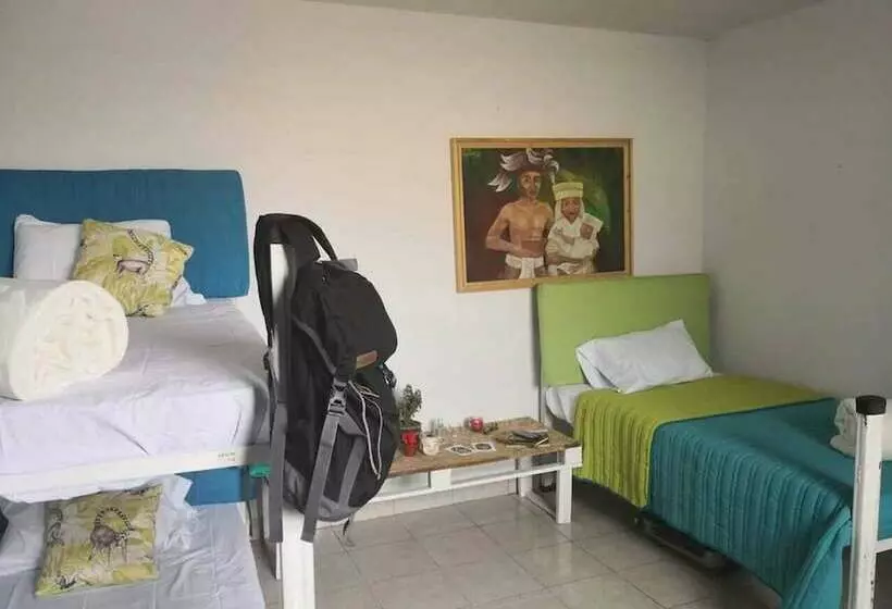 ホテル 400 Rabbits  Hostel