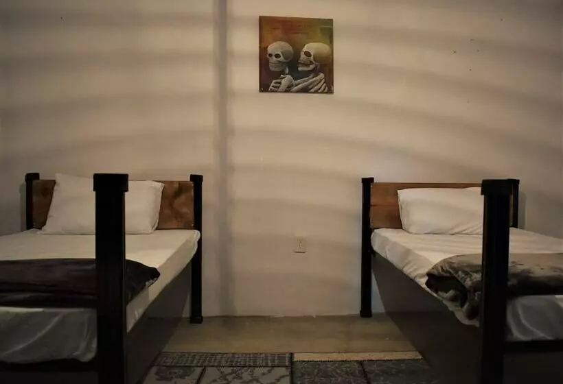 ホテル 400 Rabbits  Hostel