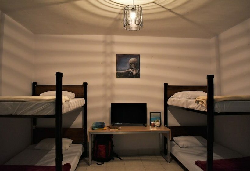 Отель 400 Rabbits Hostel