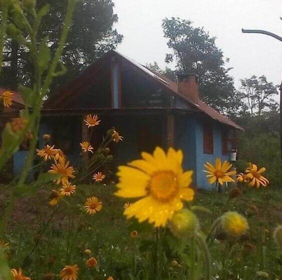 Hôtel Carlo De Gante