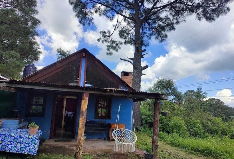 Hôtel Carlo De Gante