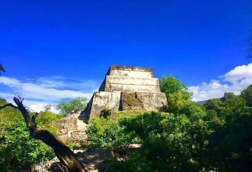 هتل Casa Maximiliano