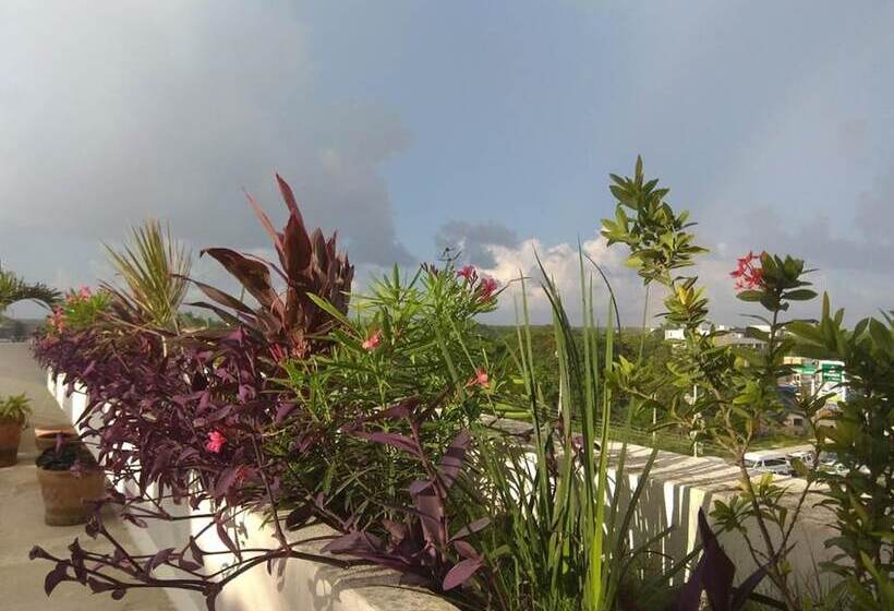 酒店 La Palmita By Mij